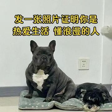 发一张照片证明你是 热爱生活懂浪漫的人。