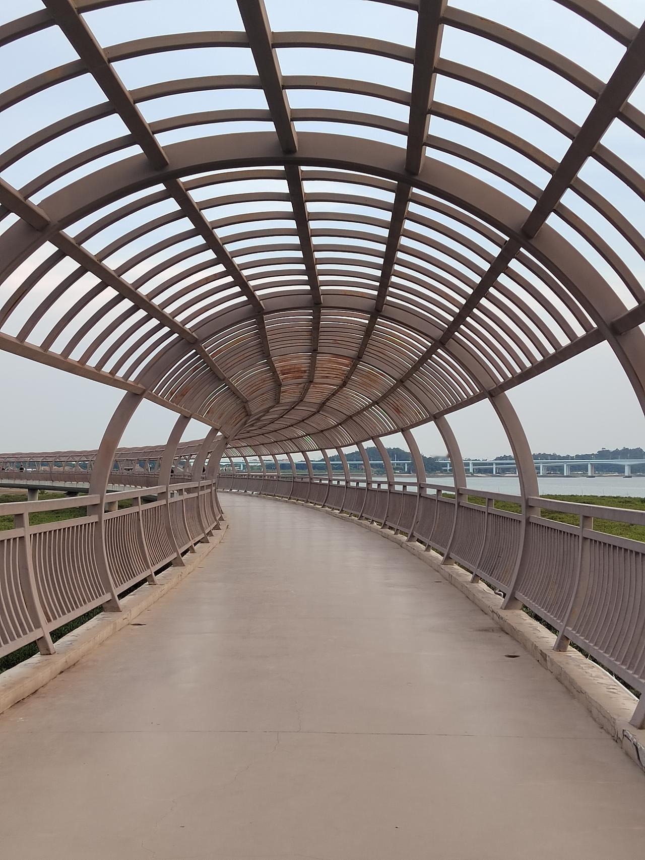 我怎么可以用一生的忙碌来喂养一具终将衰老的躯体。肉身只需要很少的食物，但生活的更