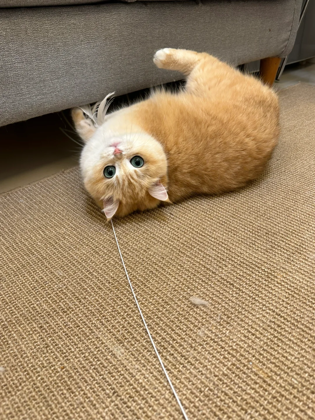 该说不说 有时候我们也挺猛的