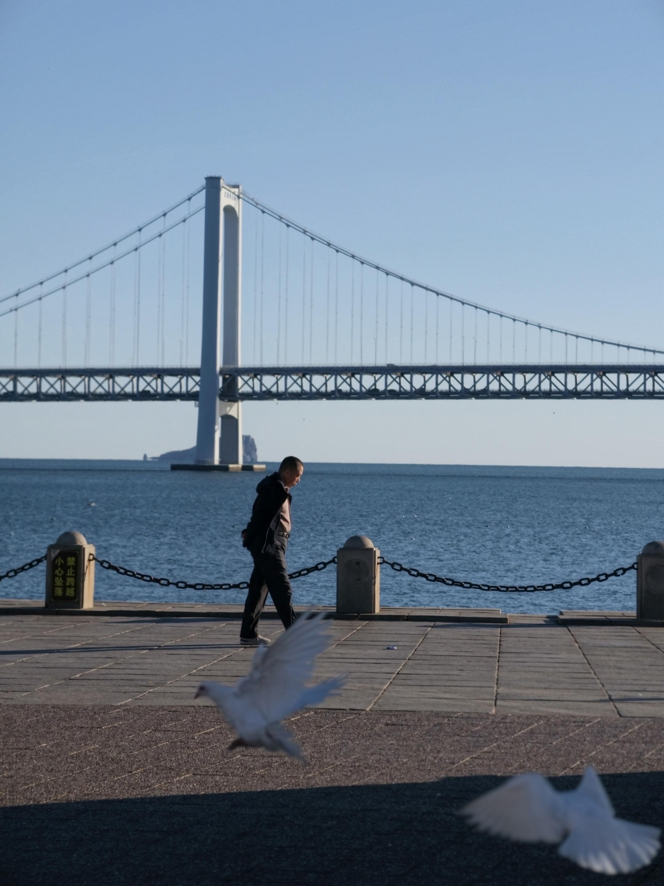 国内还有比大连更适合看海的城市吗？淡季的大连非常舒服，没有人挤人，每个...
