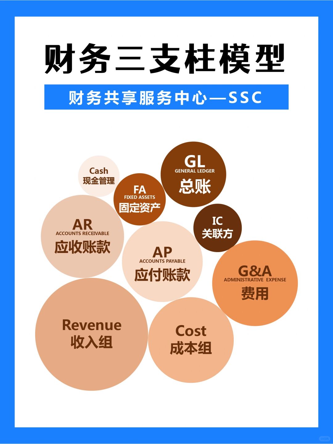 🔥财务三大支柱模型来啦❗️