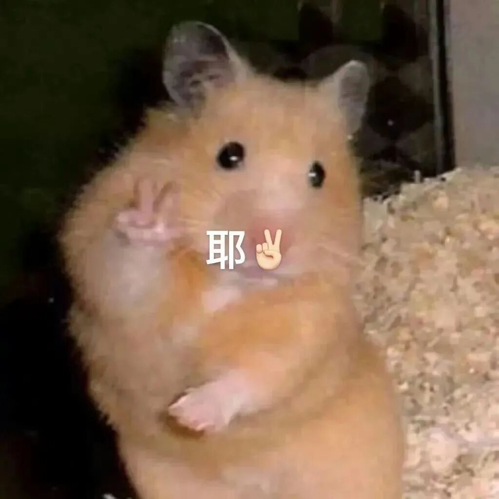 明天是我在中国没有工作的天 