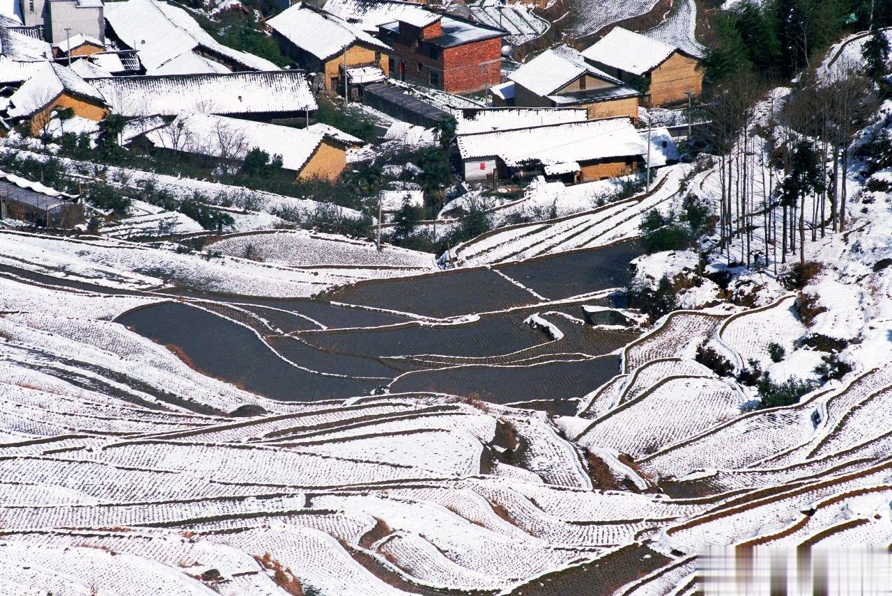 大雪丨大雪至，寒冬始，冬韵悠长。当雪花悠然飘落，温柔了万物的轮廓，童话般的氛围将