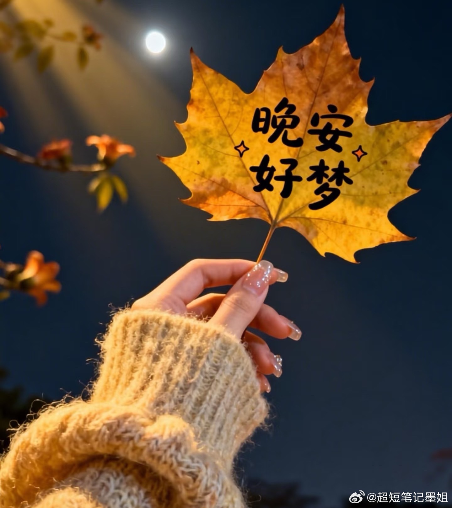 行情起伏，心态稳住。周四晚安，养足精神，周五再战！ 