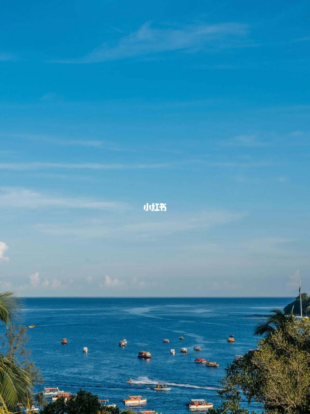 试试不加tag会吸引谁