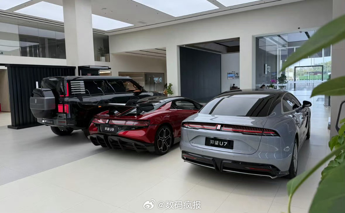 仰望全家福，覆盖SUV、超跑和轿车，从左到右：仰望U8：109.8万仰望U9：1