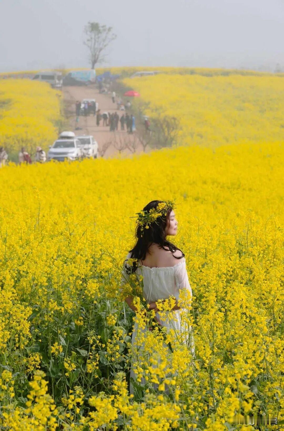仔细看看，认真猜猜。出镜的这位模特姐姐，芳龄几何？
油菜花不愧是“春日顶流”哇！