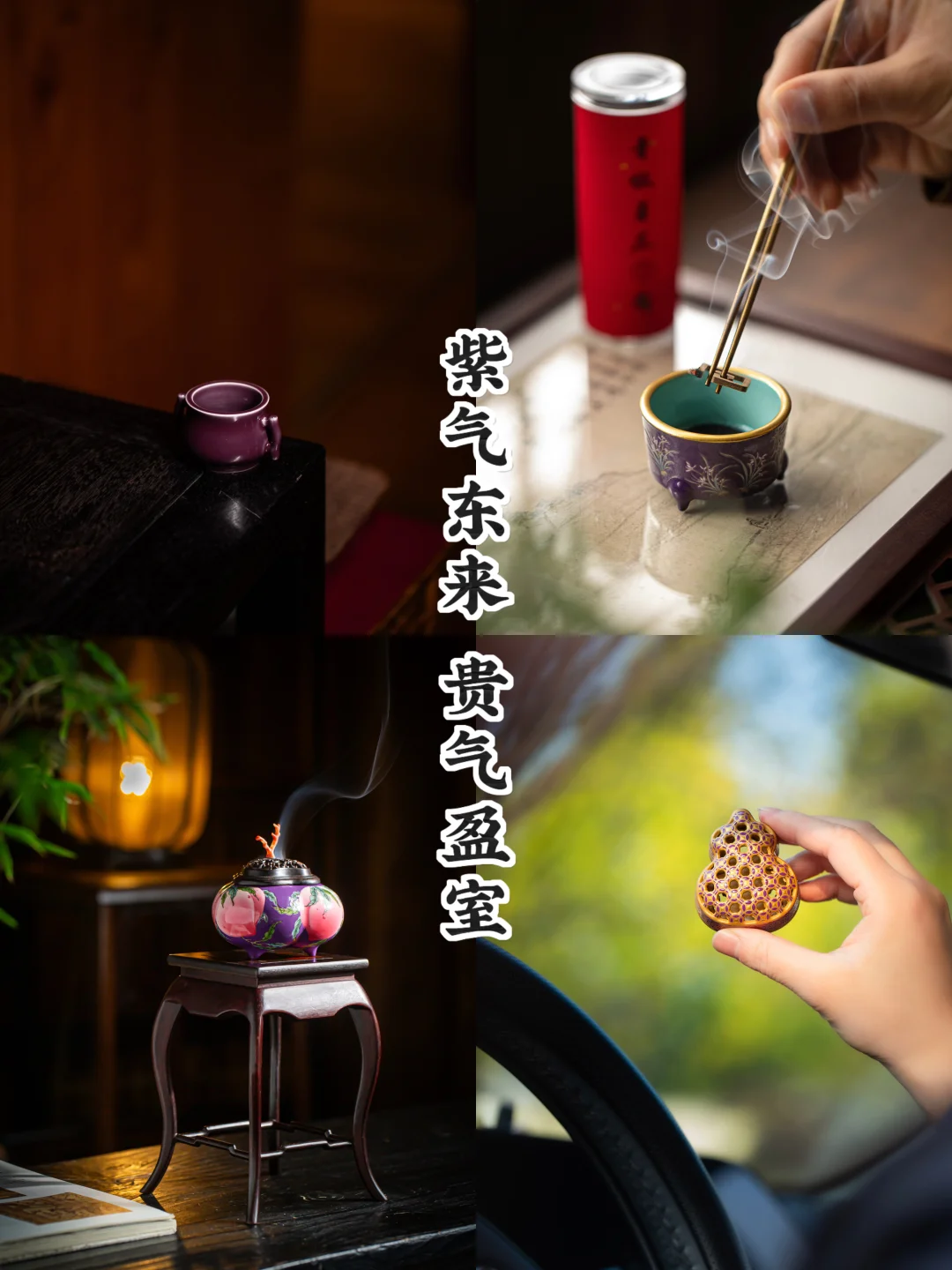 紫气东来｜紫韵流光，贵气天成