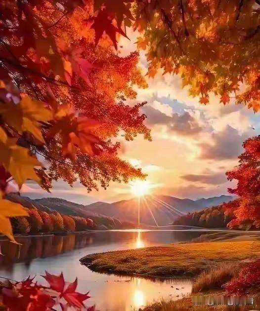 杏花春醉雨
枫叶秋拈香