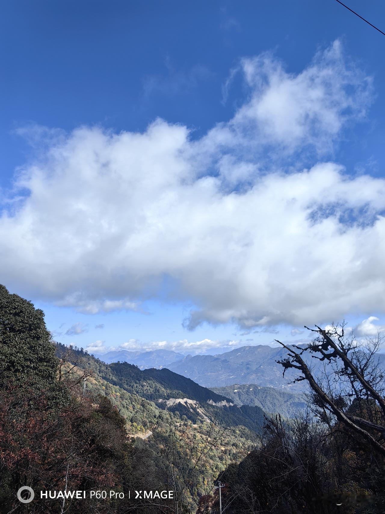 岁月无声，年华渐逝，我们都在不知不觉中慢慢变老。很多人觉得，人到中年、步入岁月，
