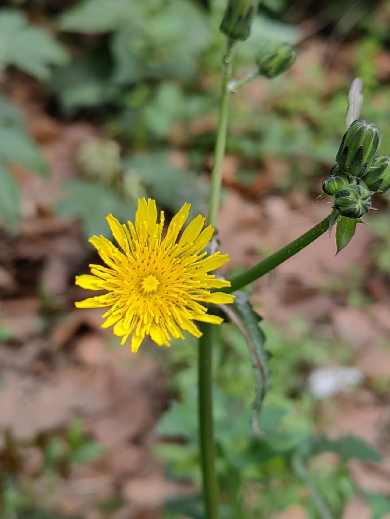 张雪峰的离开对教育界有何影响会好长没人“乱说话”；文科专业志愿填报会“回头”；被
