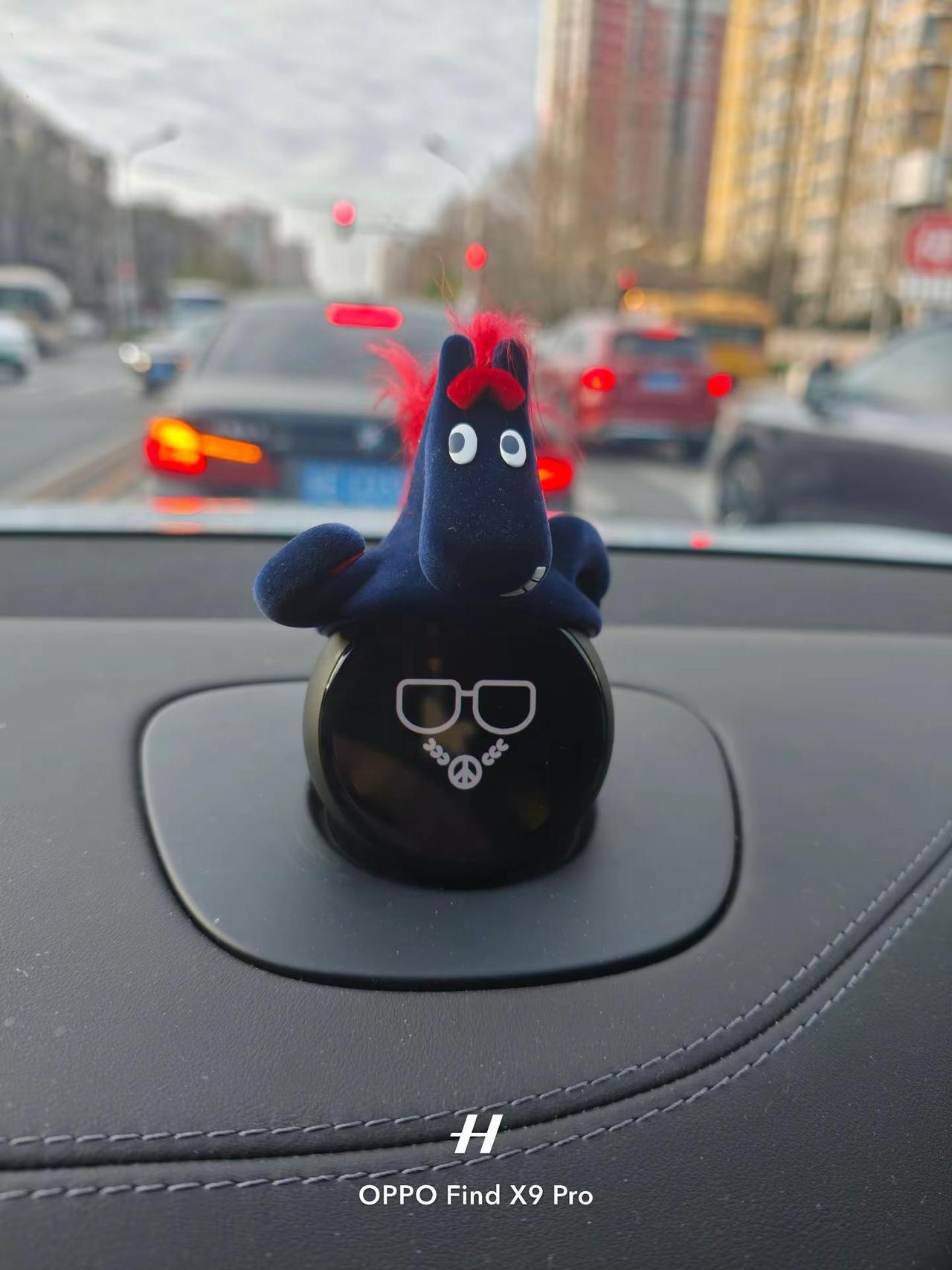 这个小马的眼神真绝。昨天叫nomi，回应的声音居然是马擤鼻子的声音。吓我一跳