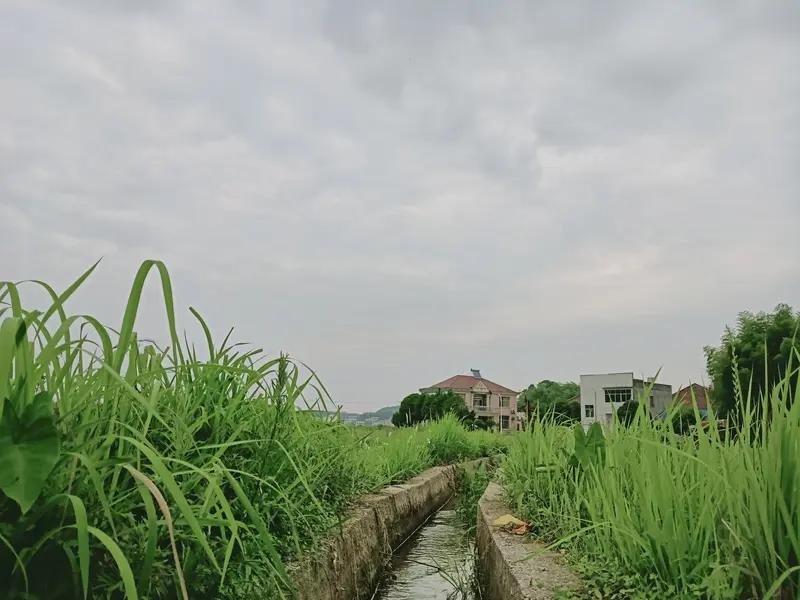小乡村的风景，那叫一个绝美！春天，田野里油菜花开得黄澄澄的，像给大地铺上了金色的