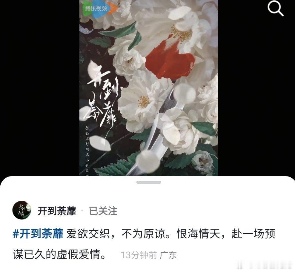 白鹿你终于原谅现偶了  火速关注开到荼蘼官抖，简介很有意思，爱欲交织，不为原谅，