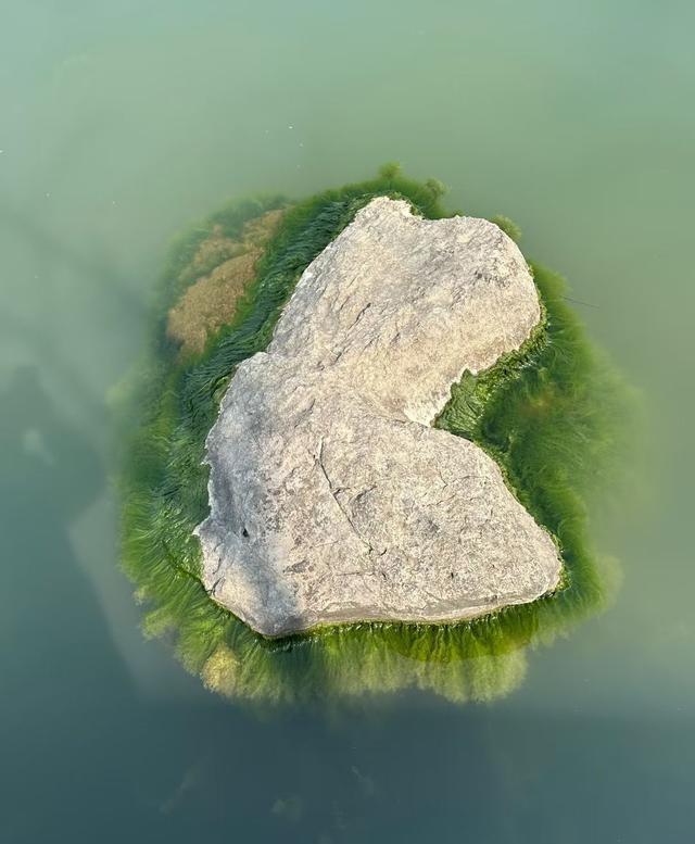 最有价值的话: “一个人最圆满的状态，占一条你都是神仙级别，第一，没有人请你吃饭
