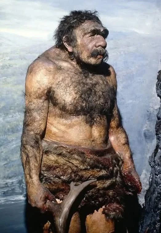 这是基于大量化石证据和现代科学技术对尼安德特人可能外貌的复原。尼安德特...