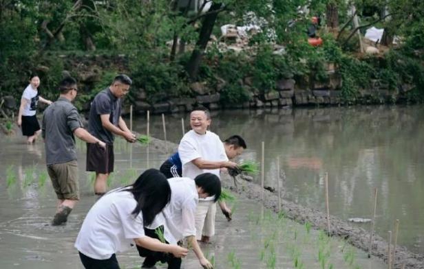 前脚在杭州下田插秧，后脚奔赴哈佛 MIT，马云今年行程太密集

刚结束杭州水田的