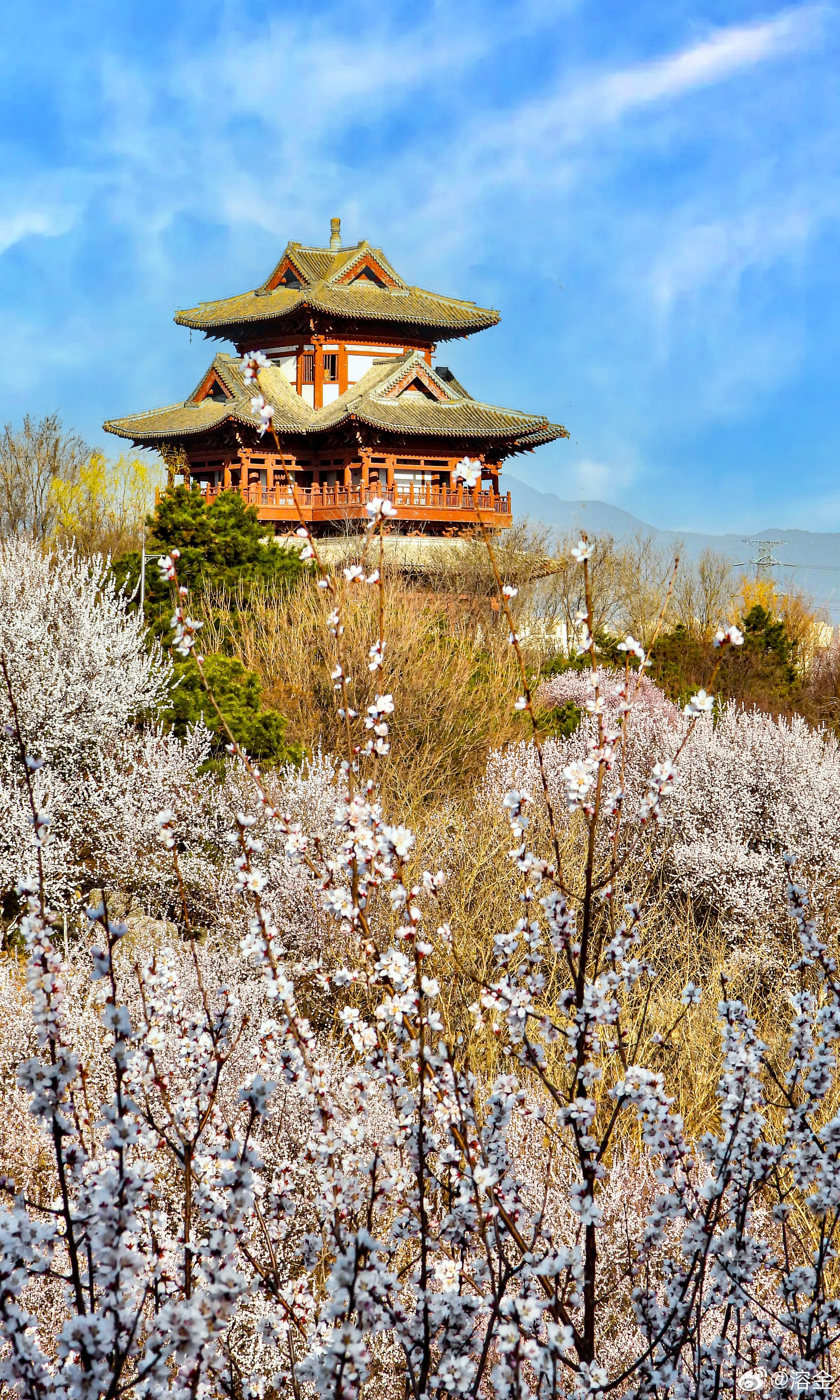 【北京园博园 鹰山桃花谷】云淡天高远，风轻日色柔。层峦藏古阁，曲径入芳丘。灼灼桃