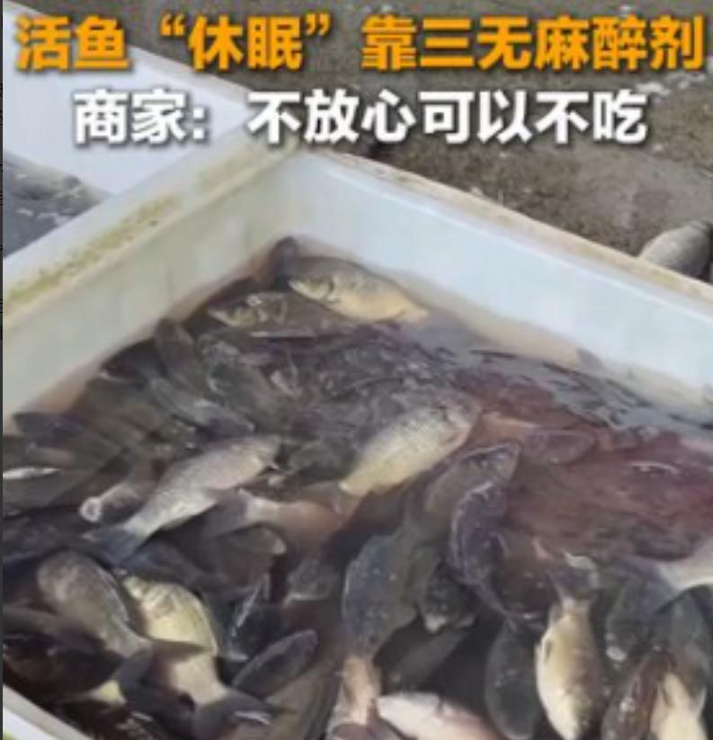 太恶心了，央媒曝光活鱼内幕！
3月23日央媒报道，中国多地水产市场为方便运输，违