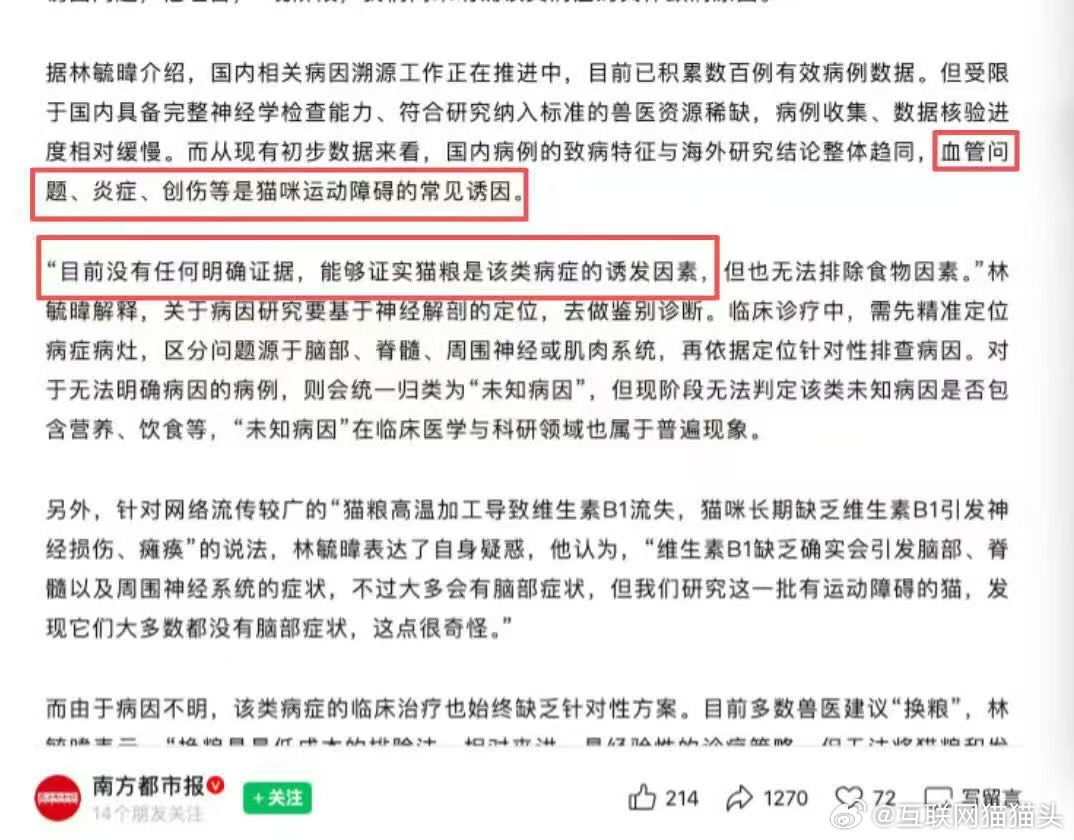 千猫瘫痪多地医院真相调查记者调查千猫瘫痪背后真相网上零散养猫知识不能当真，猫咪瘫
