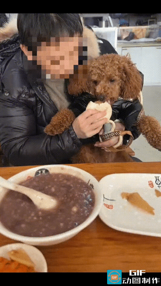 有个女的带着宠物狗进了包子店，点了包子和紫米粥。
服务员把吃的端上来后，让人很不