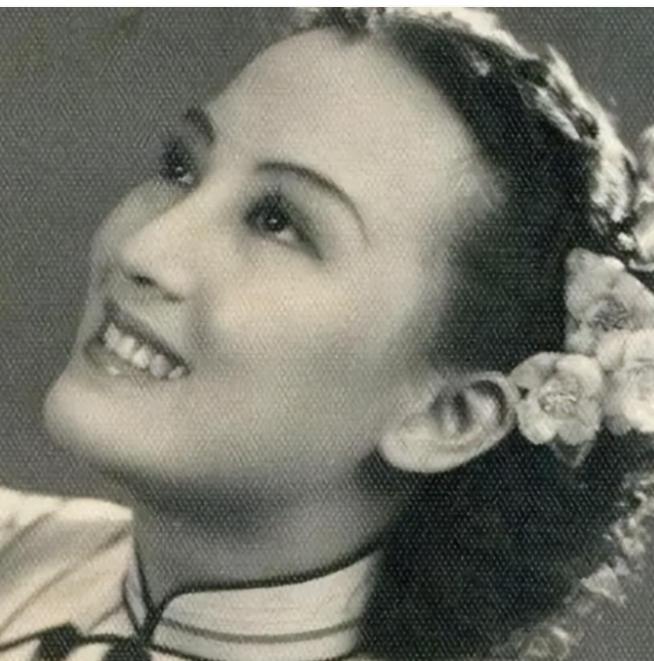 1956年12月的一个清晨，台湾岛上风起云涌，特务机关的高墙内传出了一声叹息。毛