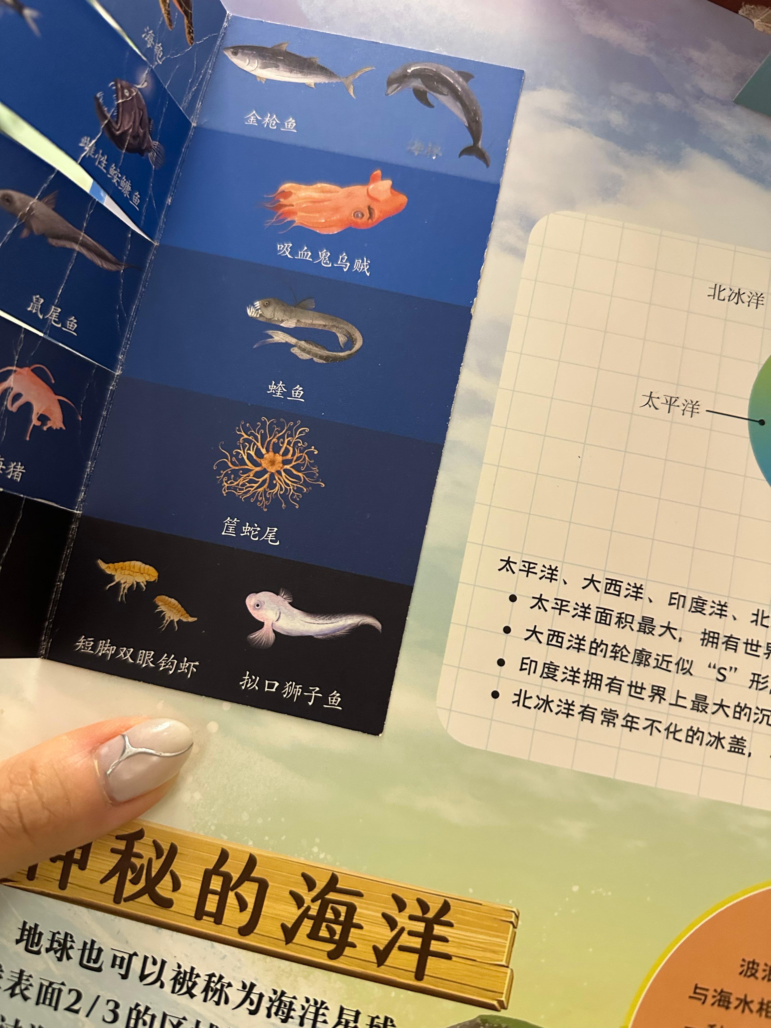 Niko说im here我都没反应过来，我说这是拟口狮子鱼，结果念出来玩就反应过
