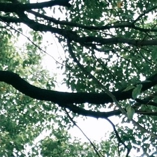阳光信用 互动打卡 尽己力，听天命。无愧于心，不惑于情。顺势而为，随遇而安。知错