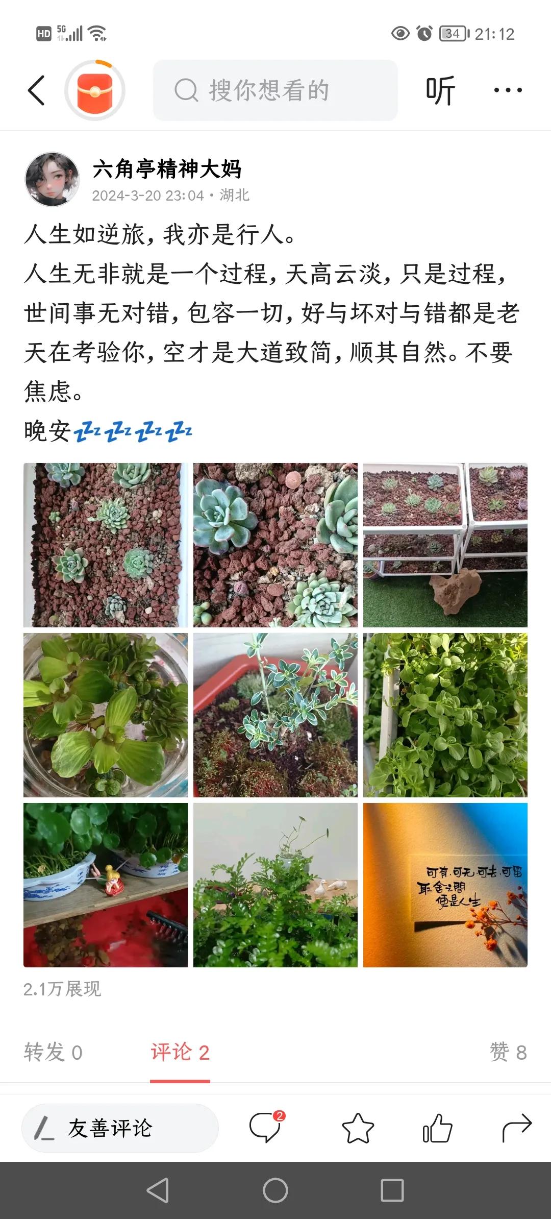 3.20日发文，还在感慨，不要焦虑。
3.30开始嘚瑟养的热带鱼图片，应该是周末