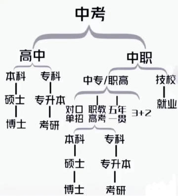 一张图把中考分流说明白，中考才是人生的分水岭 