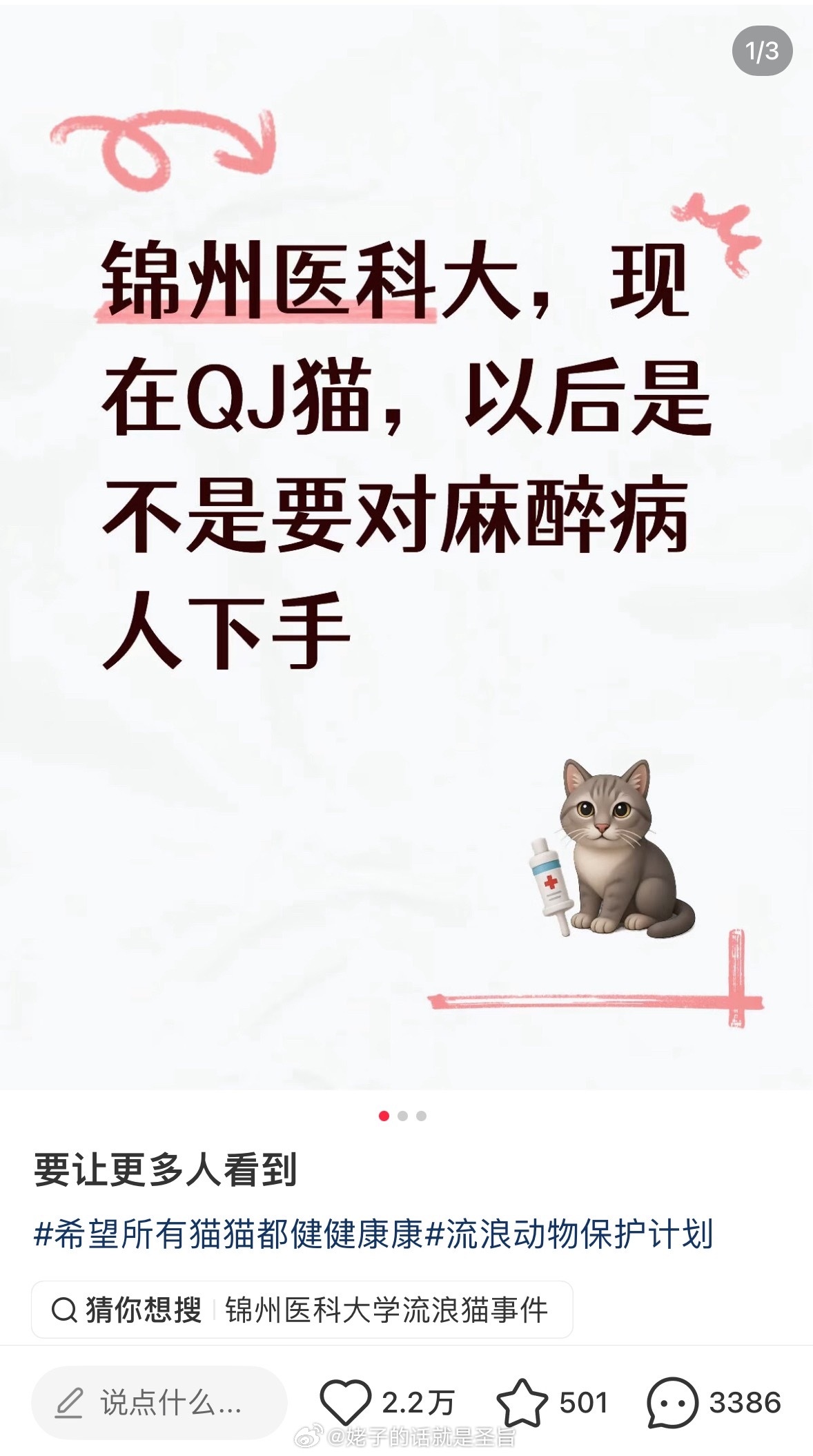这还是人间吗 