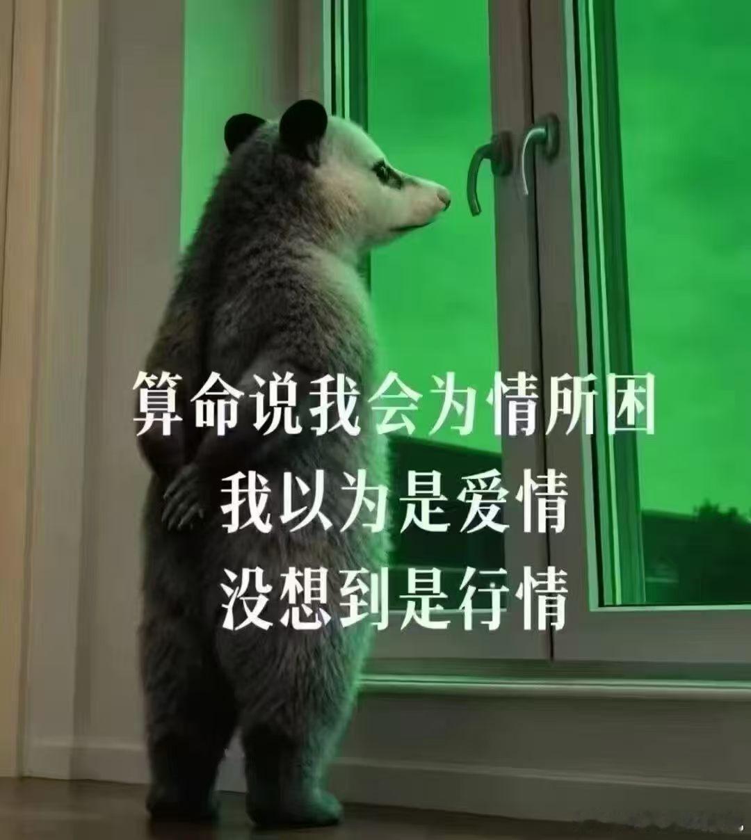 为情所困——群内股友图金饰继续大跌