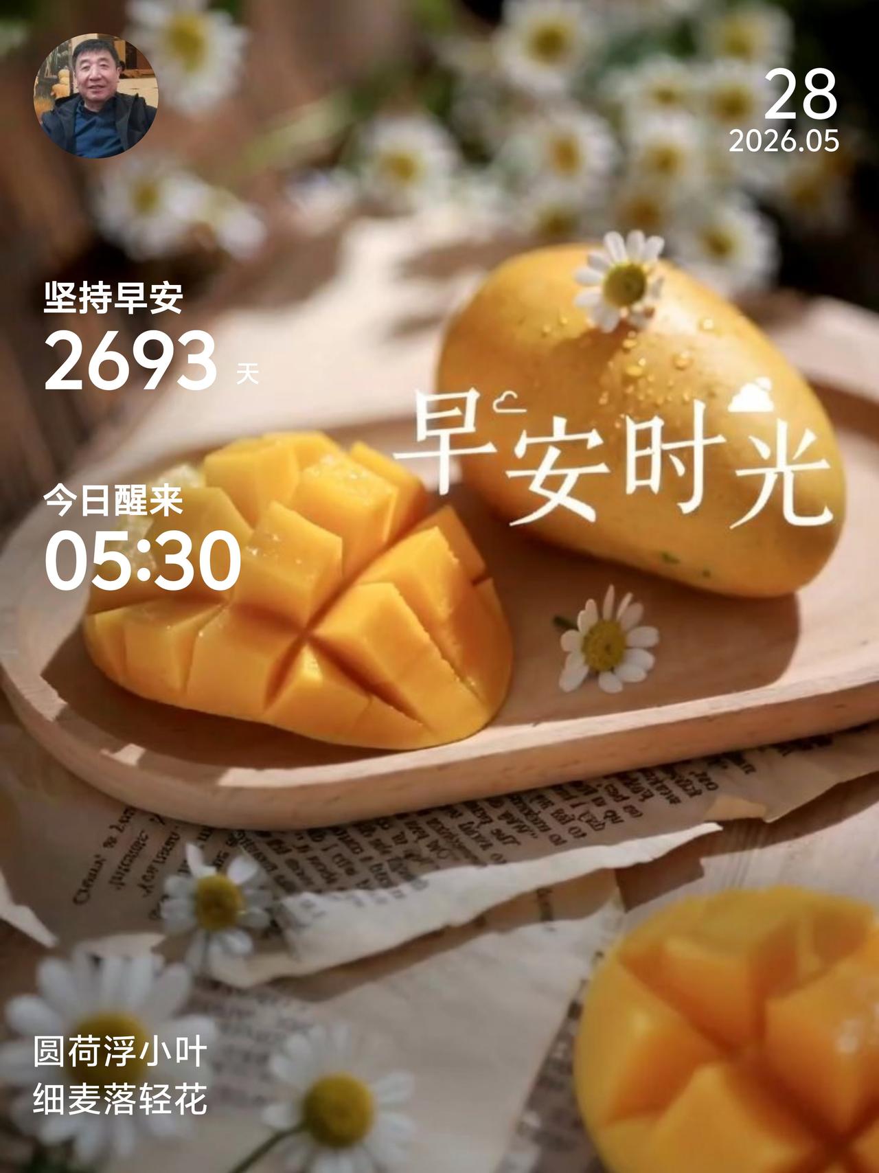 分享你的今日感悟，早安吉祥新的一天，愿我们看淡得失，珍惜当下。人间烟火最抚人心，