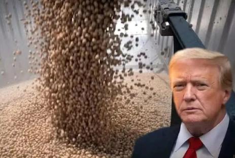 中国展现极大合作诚意，大量买美大豆，放宽稀土供应，却换来了美国出台“台湾保证实施