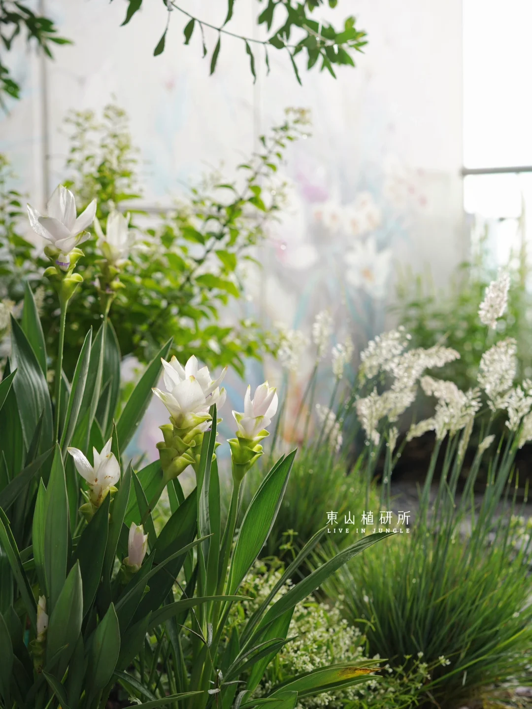 私宅定制|清新治愈的阳台花园设计🍃