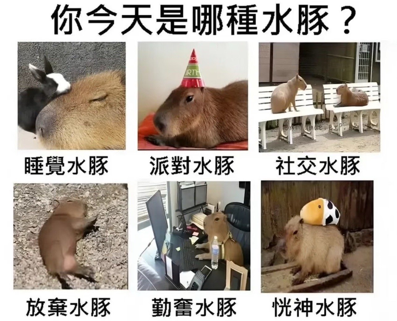 五，水天需密云不雨，待机而行注意头，呼吸，肺部，生殖泌尿宜，筑堤 修屋 收债 祈