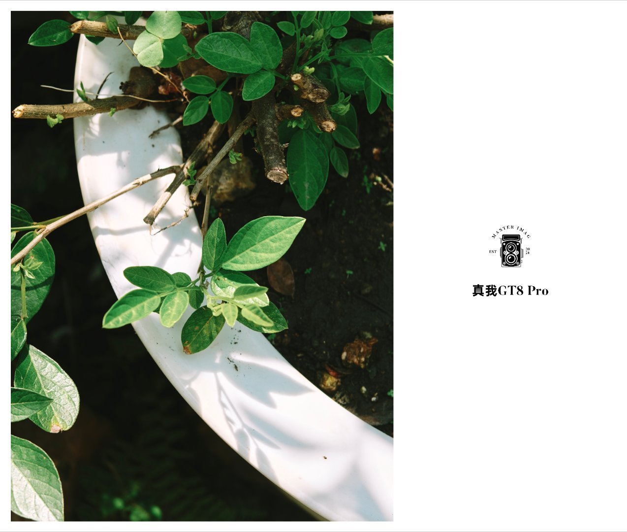 10月，在混乱和奔波中，就这么过去了。一条plog告别十月，一些库存。还真是贯穿