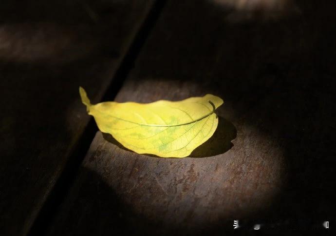 教师负担128条涉师举报失实率超94%！《南方都市报》：让教师有底气有尊严教育才