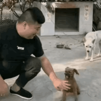 速度是真的快[大笑][大笑]