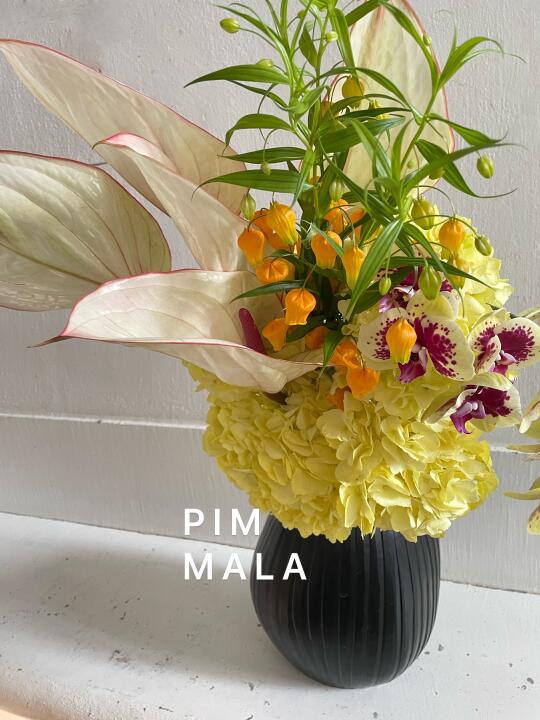 PIMMALA｜“是那年夏天喝的菠萝啤”🍍🩰