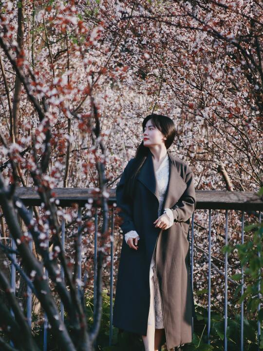 在南昌发现一处绝美秘境！花如雪，叶如霞