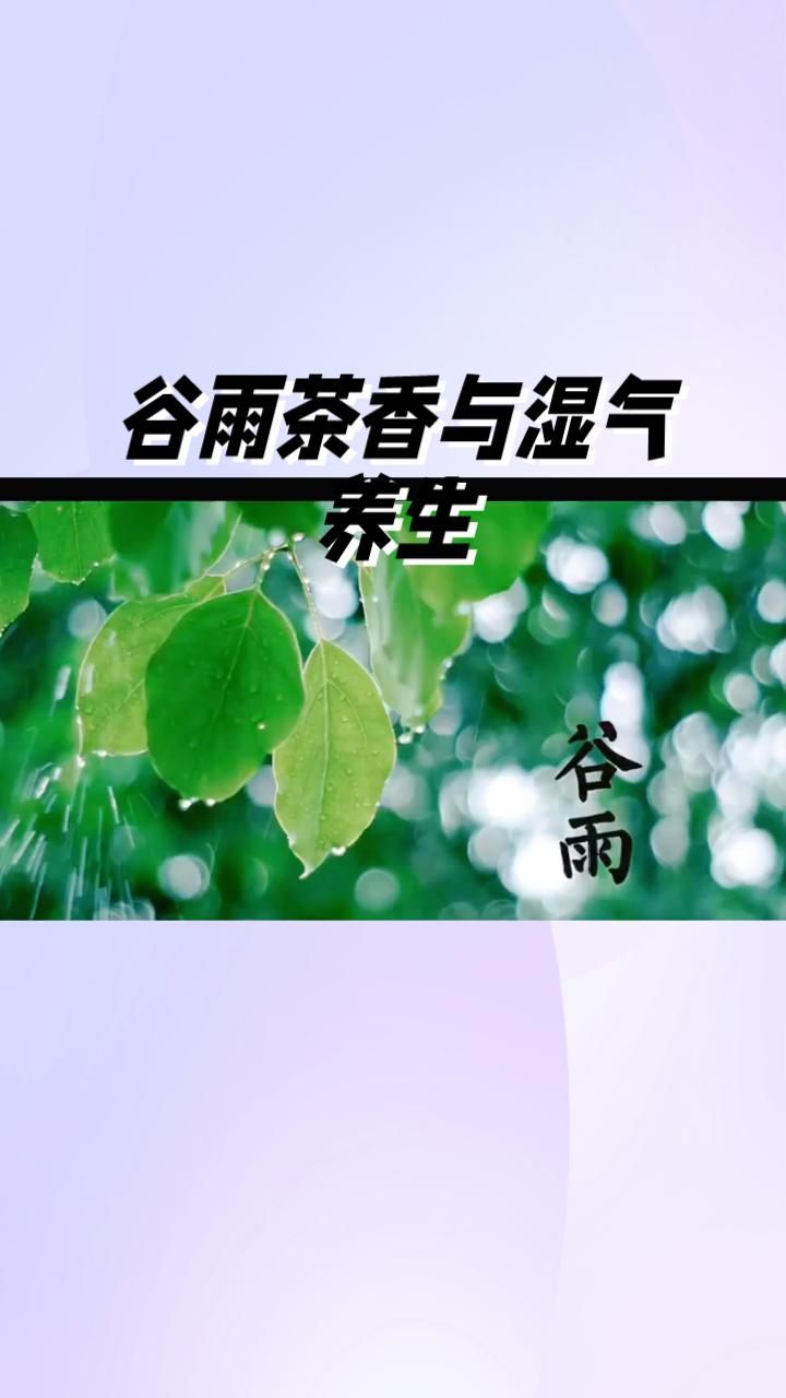 谷雨茶香与湿气养生，哪个才是春天最后的正确打开方式？
今日，我们迎来了春季的最后
