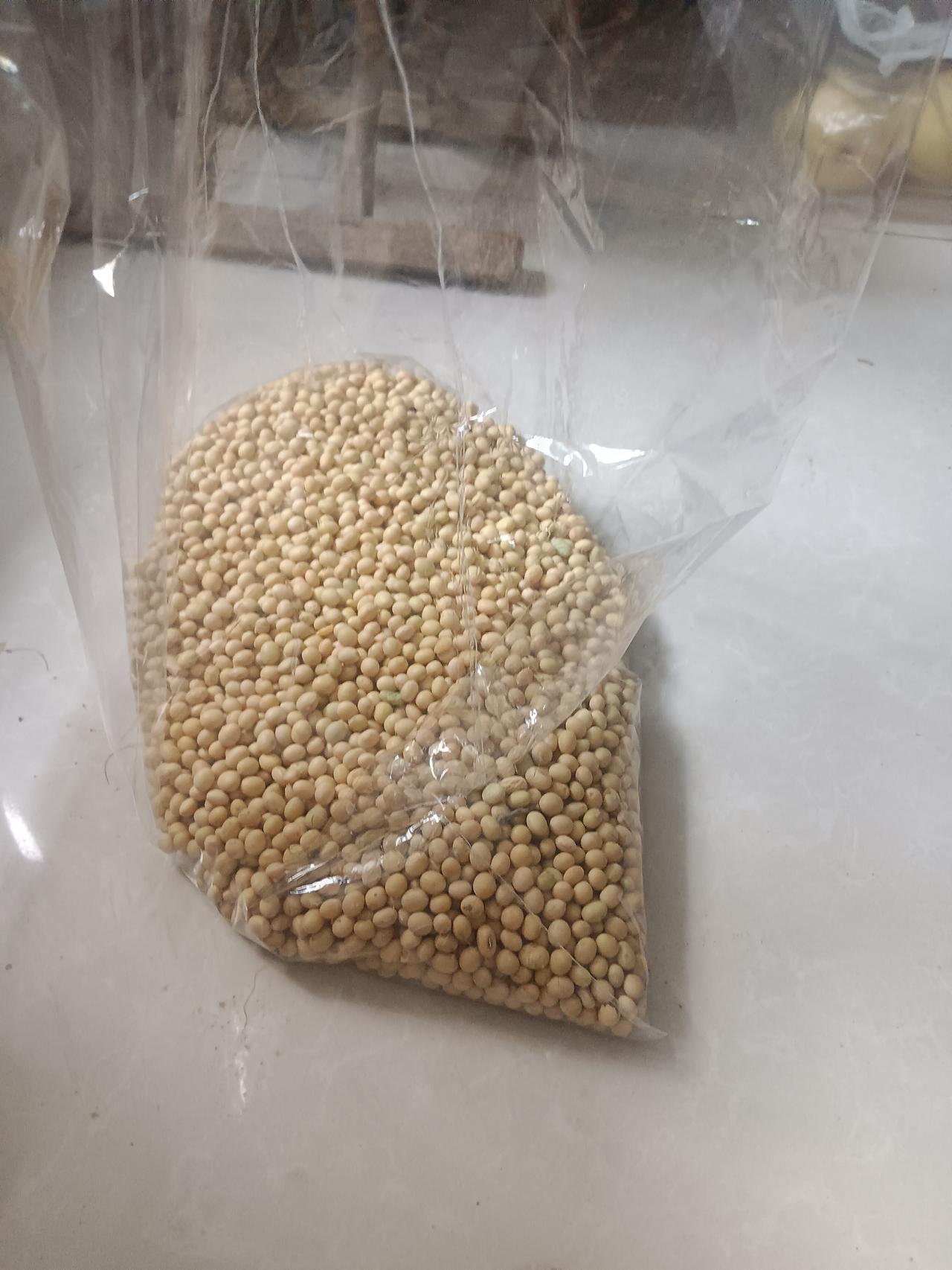 看看这是我73岁的老娘去地里拾得黄豆，这是一上午的劳动成果，你也不敢相信吧，小区