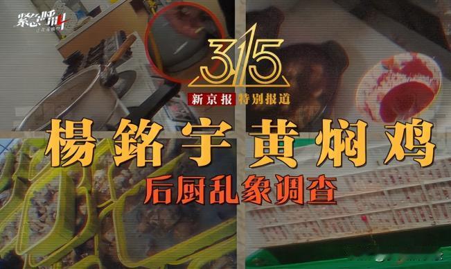 315前夕，新京报记者卧底杨铭宇黄焖鸡后厨，意外拍到了餐饮界的《生化危机》实景版