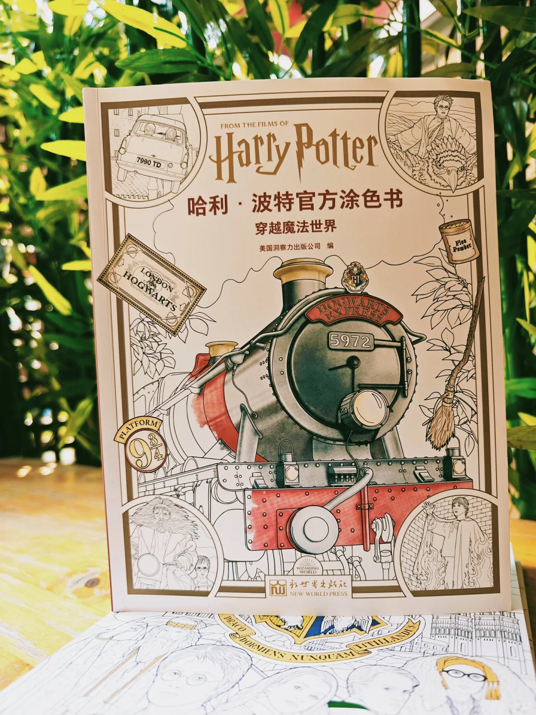 悲伤迷茫时就涂画吧，会让你忘却一切！