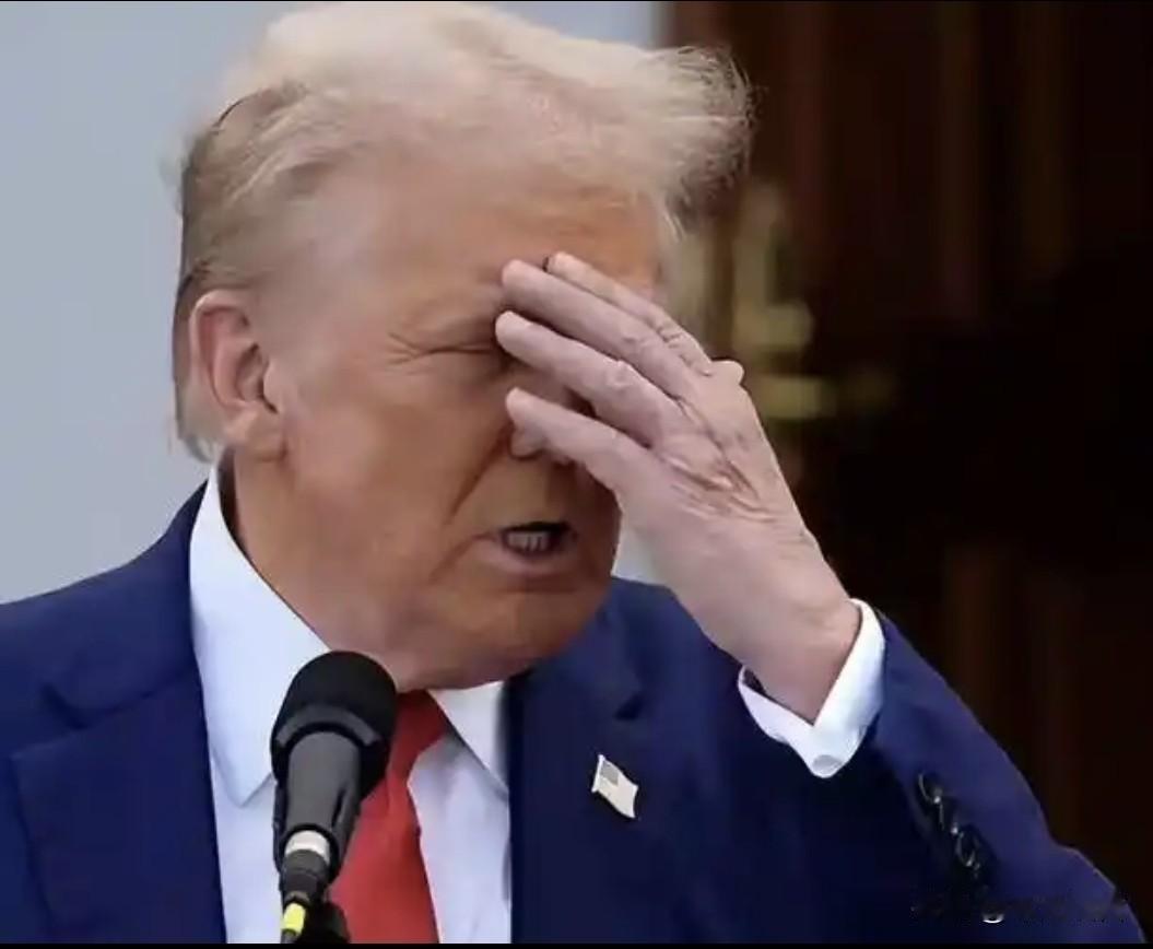 美国要难受了，加拿大“反水”，北约紧随，自食其果已经显现。
特朗普所为，基本把盟