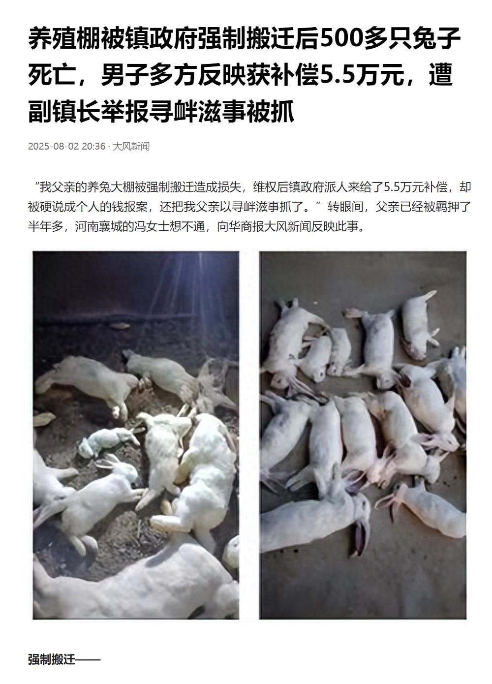 河南许昌，一老农养兔棚突然收到限期拆除通知，500多只兔子因来不及处理，热死在搬