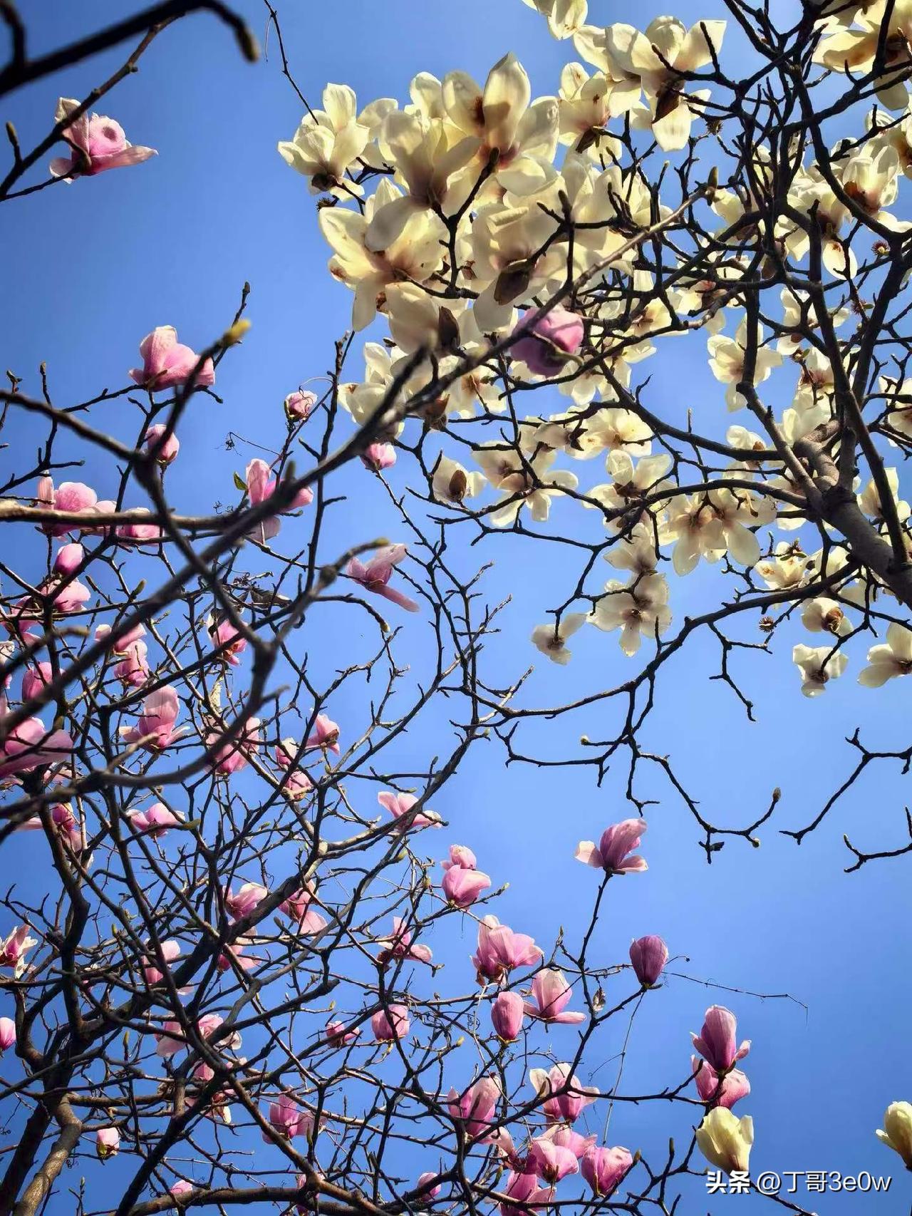 【昨日客流】
3月12日（周四）
武汉城市轨道交通线网客运量（含换乘）为416.