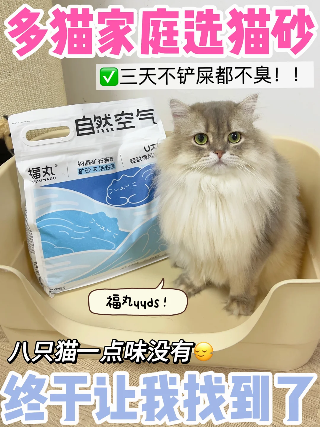 多猫家庭都在用什么猫砂？不停产就一直买！