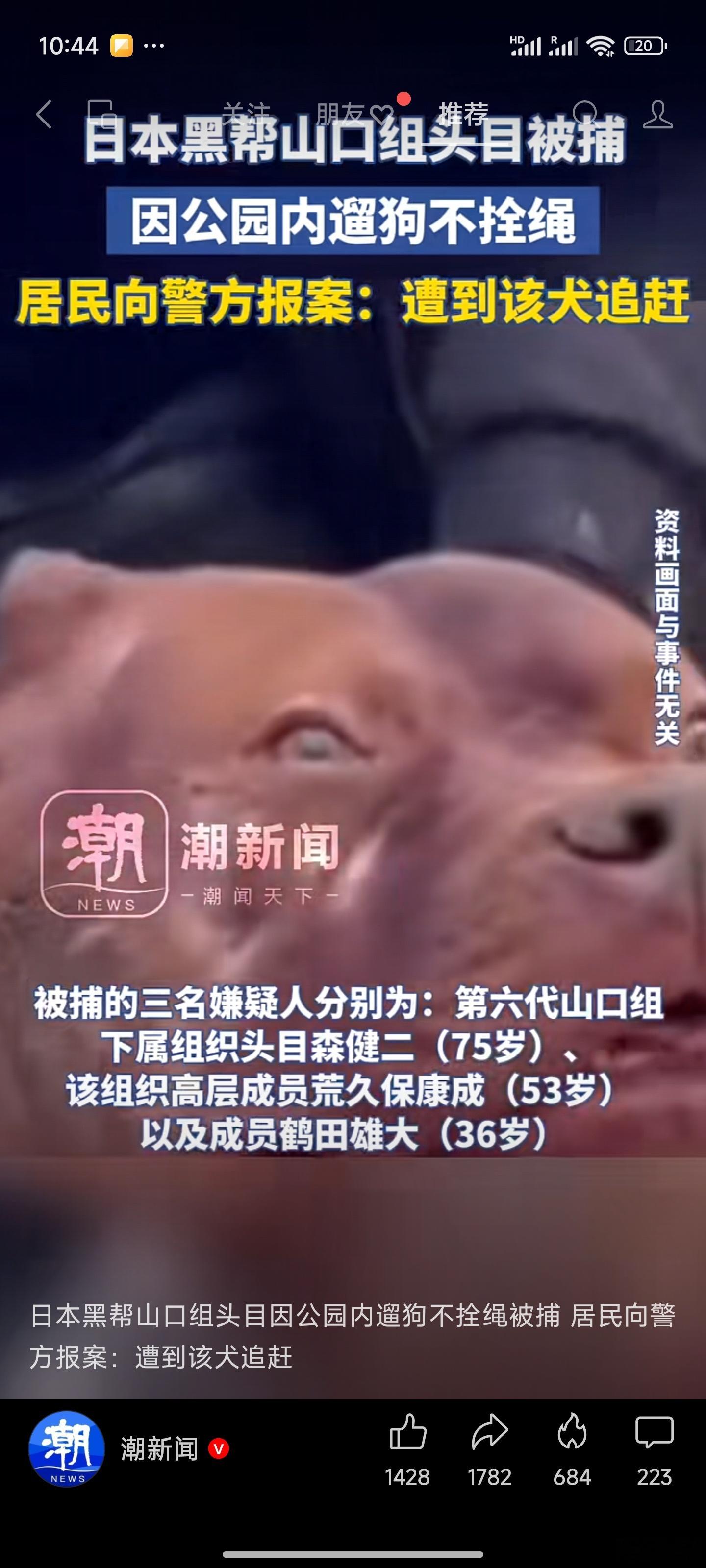 笑死我了[允悲][允悲][允悲][允悲]黑社会啊！这是黑社会啊！不牵绳遛狗照样抓